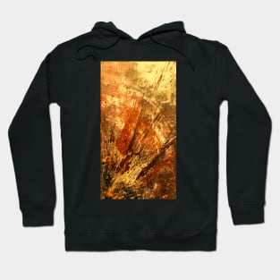 Bright Splash Abstract digitally enhanced painting 2 Hoodie